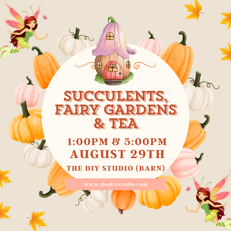 Succulents, Fairy Gardens & Tea